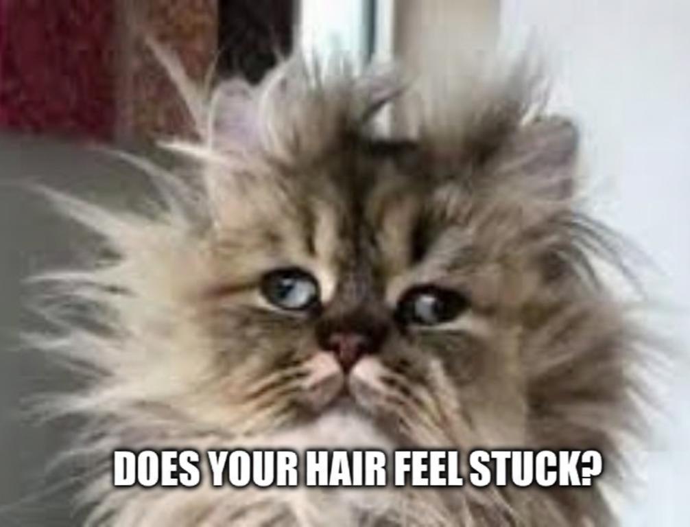 The 3-Step Reset If Your Hair Feels Stuck (And What We’ll Fix at Our March 29 Seminar)