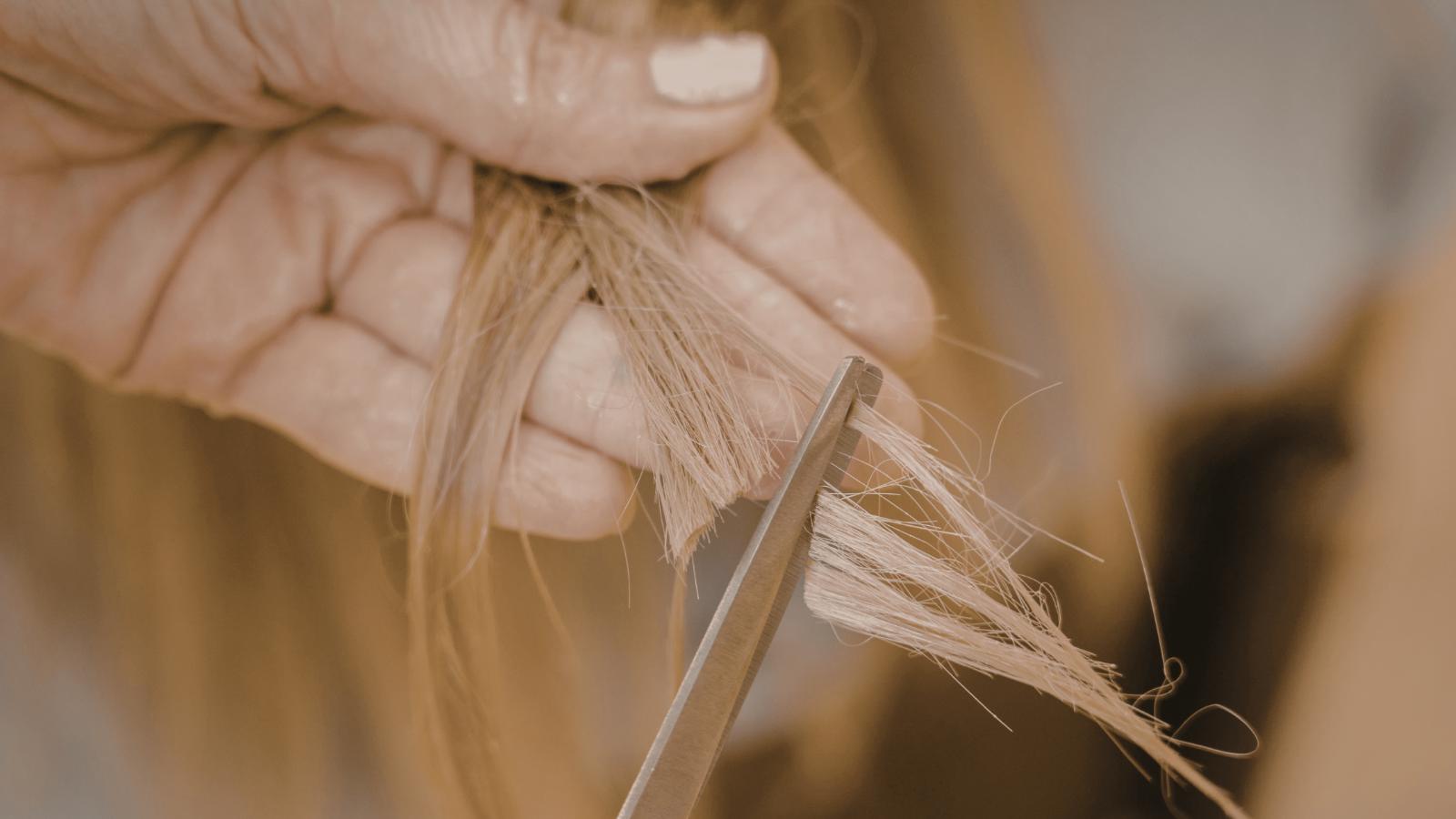 What Happens If You Skip Your Trim for Too Long